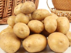土豆的營養(yǎng)價(jià)值-土豆的功效與作用