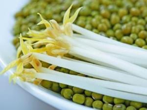 綠豆芽怎么做好吃？綠豆芽的營養(yǎng)價(jià)值、功效與作用
