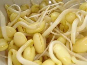 吃黃豆芽好嗎？黃豆芽的營養(yǎng)價(jià)值、功效與作用
