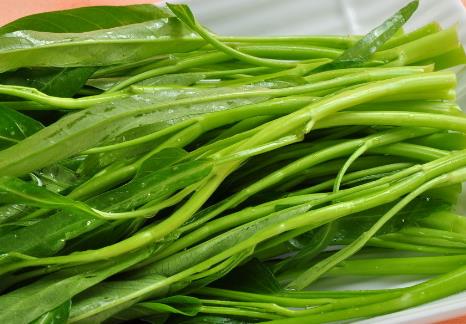 空心菜的營(yíng)養(yǎng)價(jià)值-空白菜的功效與作用