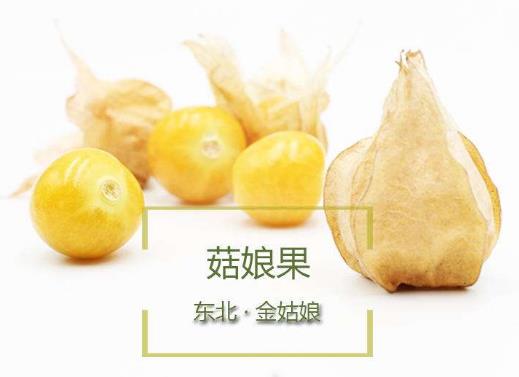 東北姑娘兒果是什么水果?姑鳥兒的營養(yǎng)價值及藥用價值