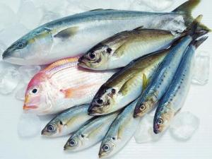 如何區(qū)別冰鮮魚與速凍魚？鑒別海鮮干品質(zhì)量好壞方法