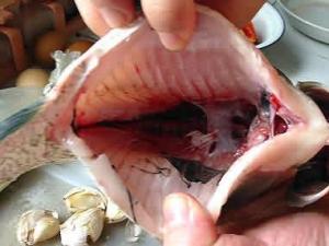 怎么去除手上的魚腥味？手上的魚腥味去除方法
