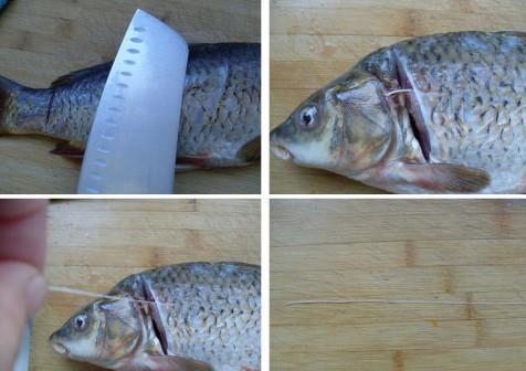 怎樣去除鯉魚的土腥味?鯉魚去除土腥味的方法