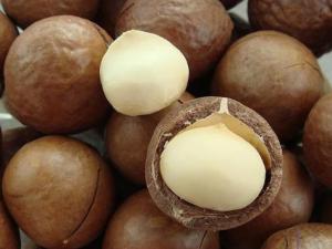 夏威夷果怎么開？吃夏威果的注意事項
