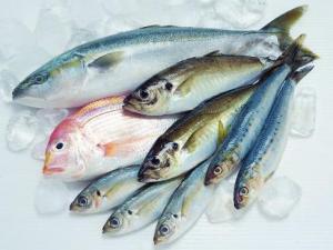 如何鑒別污染魚？鑒別污染魚的方法與技巧