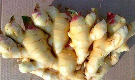 生姜發(fā)芽了能吃嗎?生姜的作用及功效