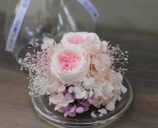 永生花為什么賣那么貴?永生花怎么保養(yǎng)?
