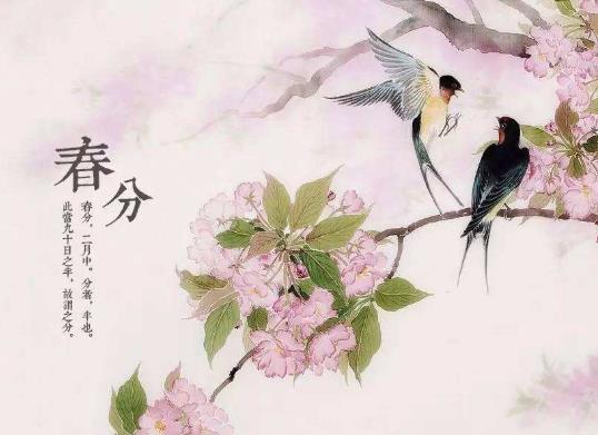 2021年春分適不適合安葬?2021春分一定晝夜平分嗎
