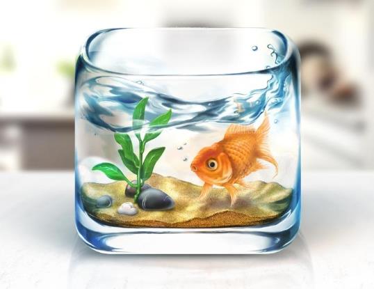魚缸養(yǎng)螃蟹水位多深最好?魚缸放陽(yáng)臺(tái)上好不好