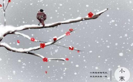 小寒白天長還是夜晚長 先小寒還是先大寒