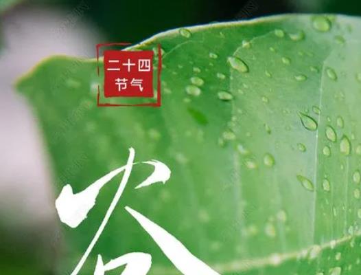 2022年谷雨是幾月幾日幾時幾秒?2022年谷雨節(jié)氣天氣有什么變化