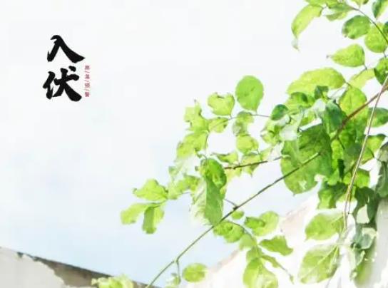 三伏天是什么時(shí)候?三伏天太熱如何有效防暑降溫