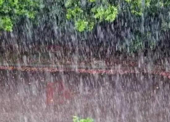 蘇州的梅雨季節(jié)是幾月份到幾月份?蘇州梅雨季節(jié)在什么時候