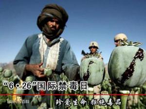 6月26日是什么節(jié)日？國(guó)際禁毒日是幾月幾日