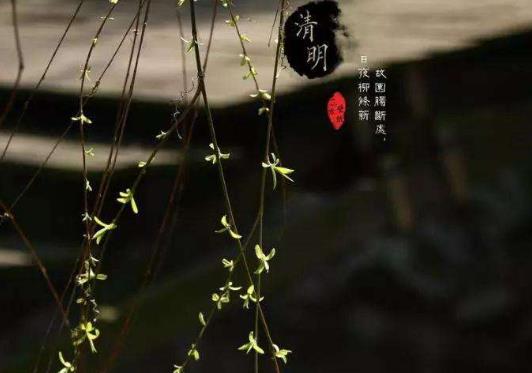 去上墳帶東西有什么忌諱的嗎?2022年清明上墳動(dòng)土好不好