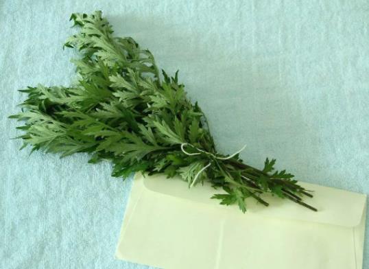 端午節(jié)掛艾草根朝上還是根朝下?端午當(dāng)天什么時候掛艾草