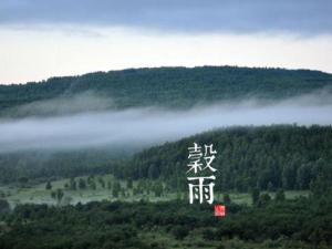 谷雨是什么時候？二十四節(jié)氣之谷雨的由來與含義