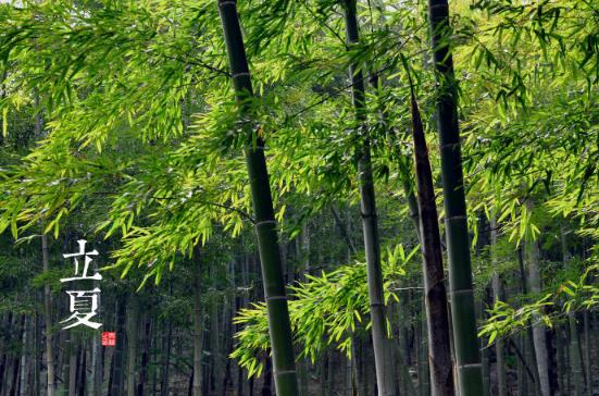 立夏是什么時(shí)候?二十四節(jié)氣之立夏的由來與含義