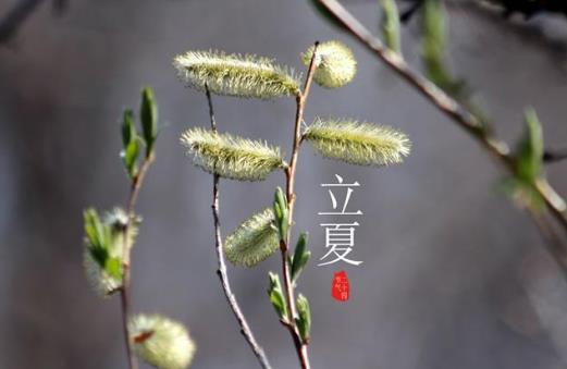 立夏有什么是要忌諱的?立夏要吃什么傳統(tǒng)食物