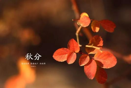 2021年秋分當(dāng)天能結(jié)婚辦酒席嗎?2021年的秋分后有冷空氣嗎?