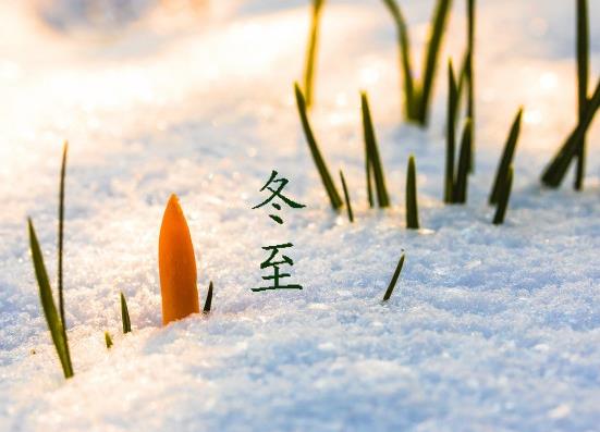 冬至吃餃子是為了紀念哪位醫(yī)學家?冬至可以只吃一個餃子
