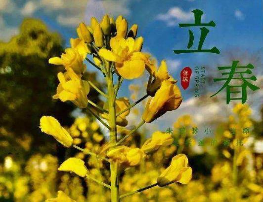 立春以后溫度上會(huì)發(fā)生什么變化?2022立春必須在家過嗎