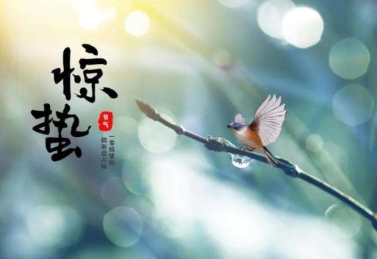 2022驚蟄刮風還要再冷多少天?2022年3月5日驚蟄是什么節(jié)日