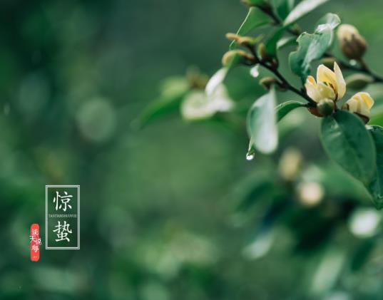 驚蟄打雷時(shí)要注意什么?驚蟄吃梨有什么寓意