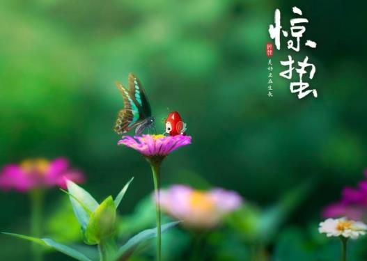 驚蟄節(jié)氣吃什么食物好?驚蟄打雷在什么時候打