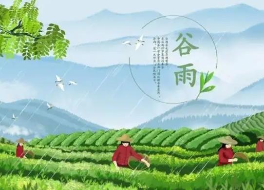 2023年谷雨幾點(diǎn)幾分出來?2023年谷雨是農(nóng)歷幾月幾日