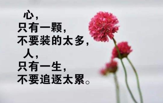 抖音上最火傷感文案大全 句句扎心讓人心痛不已的悲傷說(shuō)說(shuō)句子