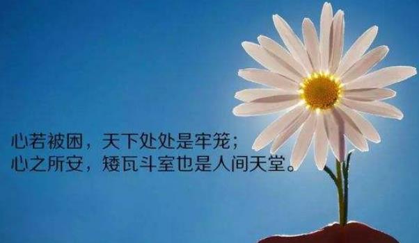 360截圖20211229105221045.jpg