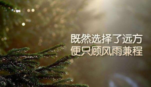 360截圖20211229110907932.jpg