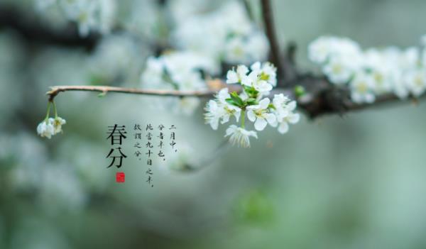 360截圖20220215204718172.jpg