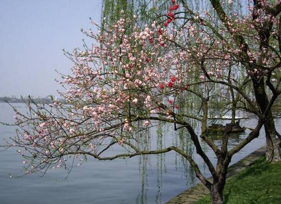 躲春玩手機(jī)有什么后果沒(méi)?躲春是不是誰(shuí)都不能見?