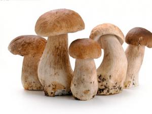 孕婦可以吃草菇嗎？適合孕婦吃草菇的做法
