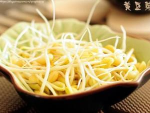 孕婦能吃黃豆芽嗎？孕婦吃黃豆芽的做法