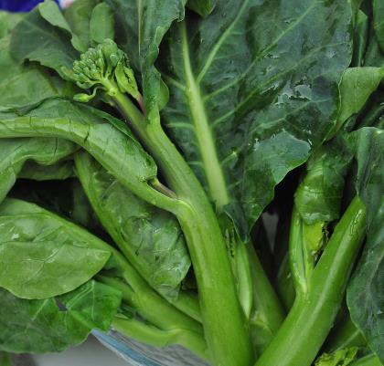 孕婦能吃芥藍(lán)嗎?孕婦吃芥藍(lán)的食用禁忌
