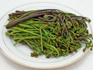 孕婦吃蕨菜有什么好處？孕婦吃蕨菜的做法