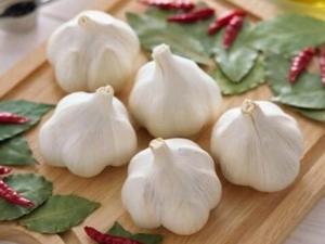 肝病患者、非細(xì)菌性腹瀉患者不宜吃大蒜