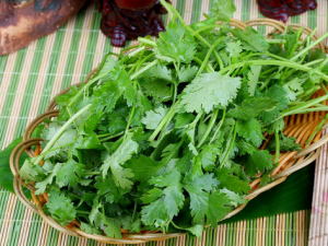 感冒病人飲食要適量-感冒不能吃什么？