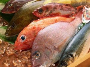 吃哪種魚可補(bǔ)肝益氣？各種魚肉的保健功效