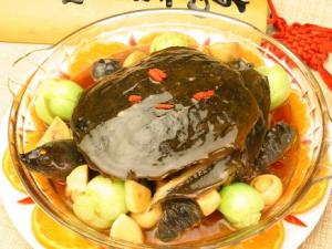 甲魚不能和什么一起吃？吃甲魚有哪些飲食禁忌