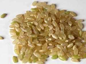 如何挑選糙米？吃糙米的食用禁忌