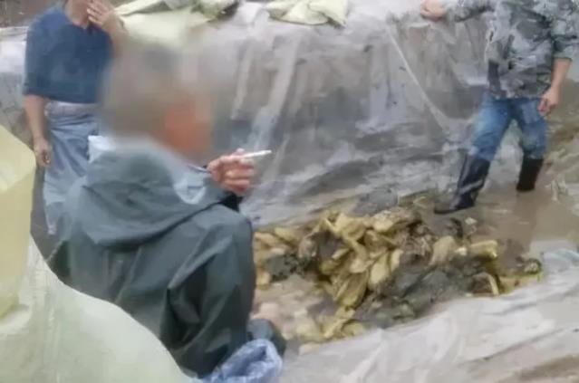 光腳土坑酸菜對方便面行業(yè)影響有多大 插旗的土坑酸菜是怎么研制的