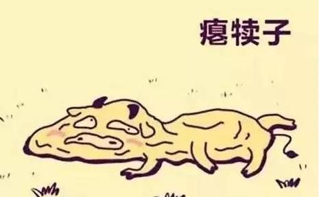 癟犢子是什么意思?東北話癟犢子玩意兒的意思 癟字怎么讀