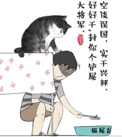 鏟屎官是什么意思?鏟屎官是什么樣的人?貓為什么喜歡看主人鏟屎