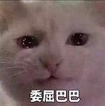 委屈巴巴是什么梗什么意思?貓咪委屈巴巴賣萌表情包(全)