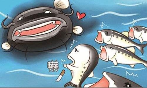 效應(yīng)是什么意思?20個(gè)著名效應(yīng) 78種經(jīng)典效應(yīng)定律大全